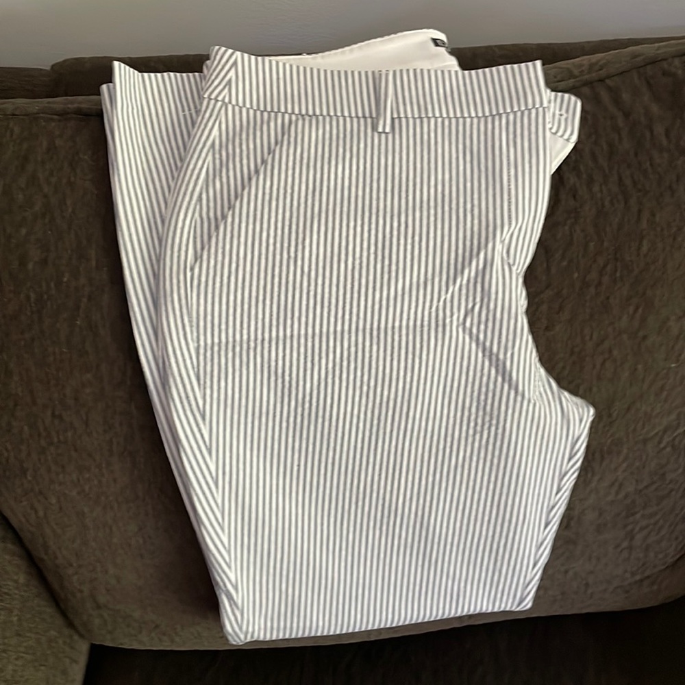 NWT express columnist striped pants